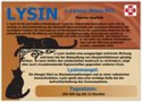 InfoKarte Lysin